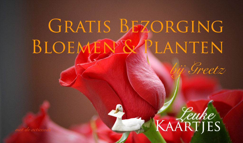 Gratis Bezorging Bloemen en Planten