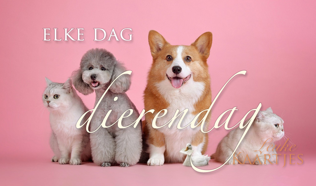 Fijne dierendag!