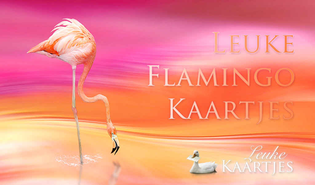 Leuke FlamingoKaartjes